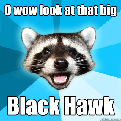 O wow look at that big Black Hawk  Lame Pun Coon