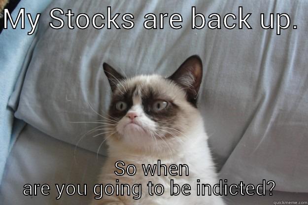 Judgmental cat.  - MY STOCKS ARE BACK UP.  SO WHEN ARE YOU GOING TO BE INDICTED?  Grumpy Cat