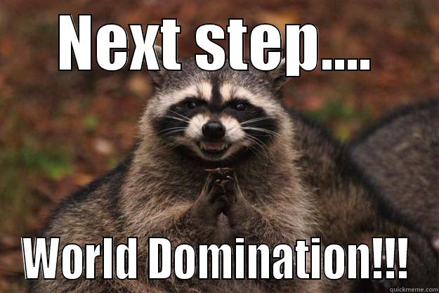 NEXT STEP.... WORLD DOMINATION!!! Evil Plotting Raccoon