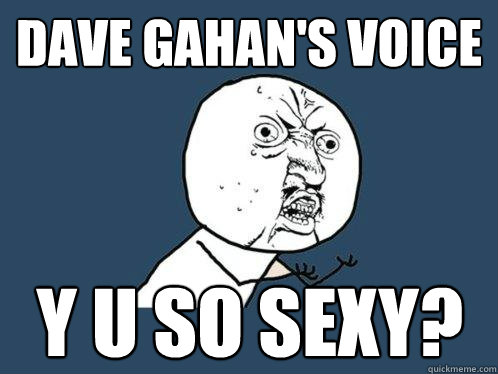 Dave Gahan's voice y u so sexy?  Y U No