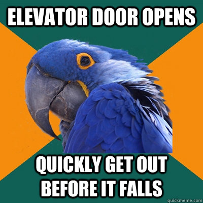 Elevator door opens quickly get out before it falls  Paranoid Parrot