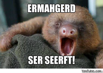 ermahgerd ser seerft!  