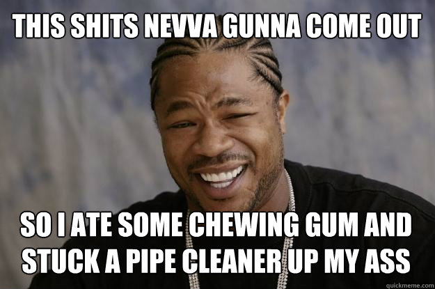 THIS SHITS NEVVA GUNNA COME OUT so i ate some chewing gum and stuck a pipe cleaner up my ass  Xzibit meme