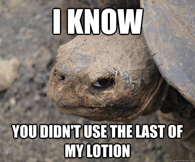 I know  you didn't use the last of my lotion  Murder Turtle