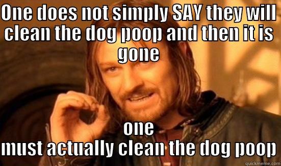 ONE DOES NOT SIMPLY SAY THEY WILL CLEAN THE DOG POOP AND THEN IT IS GONE ONE MUST ACTUALLY CLEAN THE DOG POOP Boromir