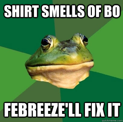 Shirt smells of BO Febreeze'll Fix It  Foul Bachelor Frog