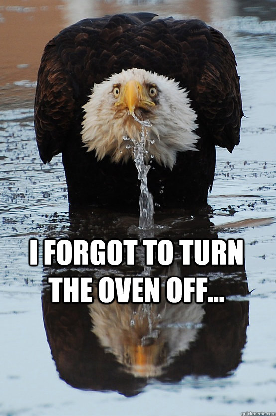 I forgot to turn the oven off... - I forgot to turn the oven off...  I guess it even happens to eagles...