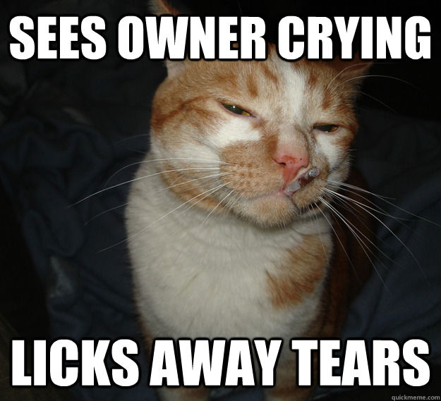 Sees owner crying licks away tears  Good Guy Cat