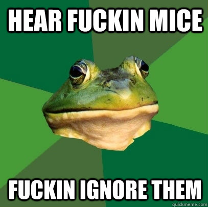hear fuckin mice fuckin ignore them  Foul Bachelor Frog