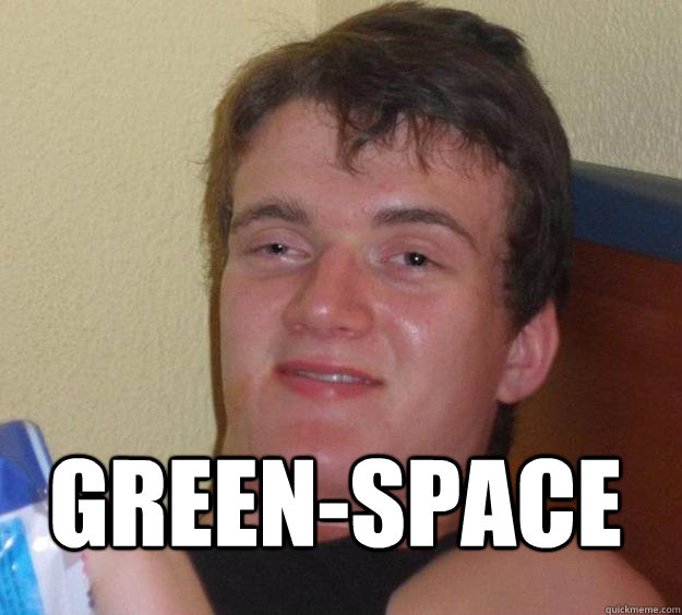  Green-Space
  10 Guy
