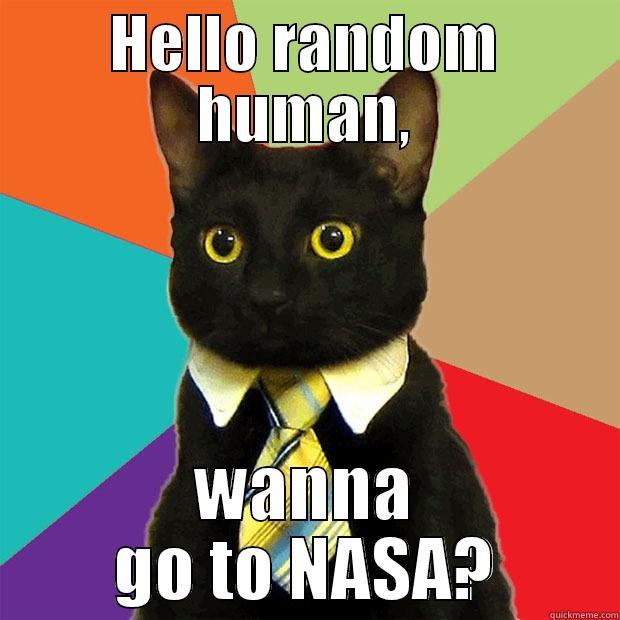 HELLO RANDOM HUMAN, WANNA GO TO NASA? Business Cat