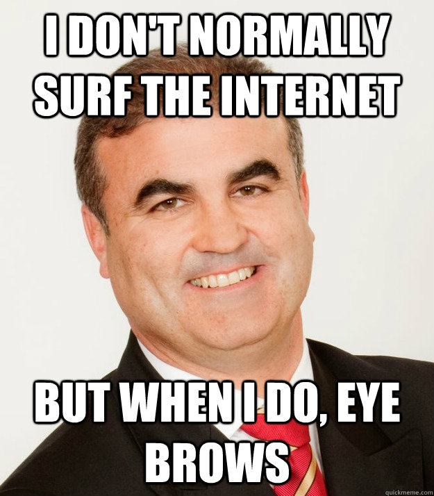 I Don't normally surf the internet but when i do, eye brows  