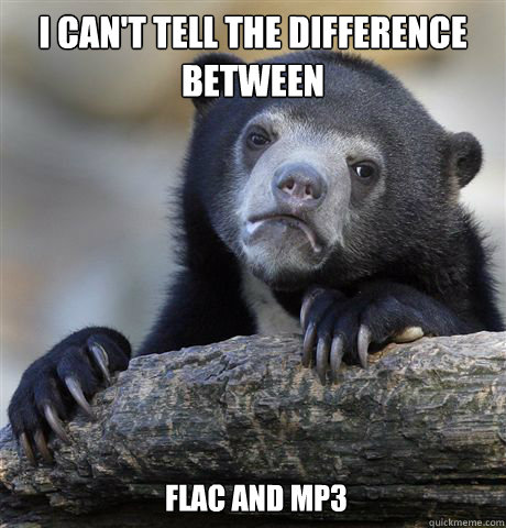 I Can't tell the difference between FLAC and mp3  Confession Bear