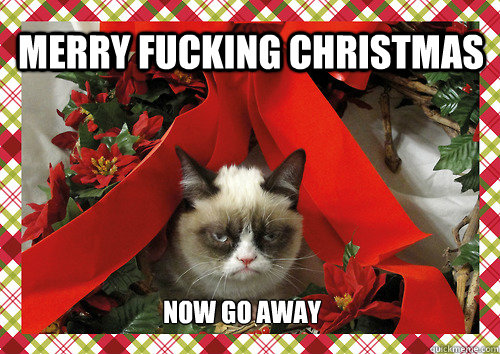 Merry Fucking Christmas Now Go away  merry christmas