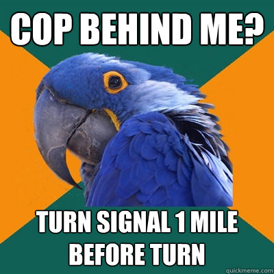 Cop behind me? Turn signal 1 mile before turn  Paranoid Parrot