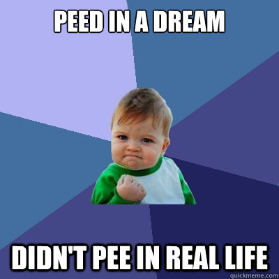 Peed in a dream Didn't Pee in real life  Success Kid