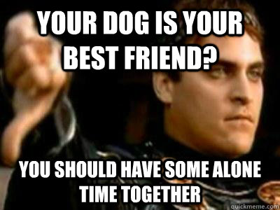 your dog is your best friend? You should have some alone time together  Downvoting Roman