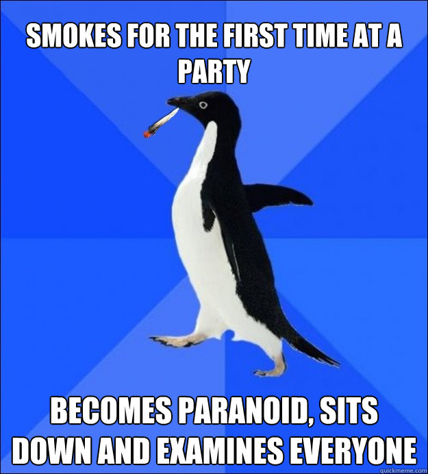smokes for the first time at a party Becomes paranoid, sits down and examines everyone - smokes for the first time at a party Becomes paranoid, sits down and examines everyone  High Socially Awkward Penguin