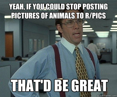 Yeah, if you could stop posting pictures of animals to r/pics That'd be great - Yeah, if you could stop posting pictures of animals to r/pics That'd be great  YEah