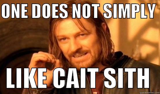 FF FUN - ONE DOES NOT SIMPLY    LIKE CAIT SITH  Boromir