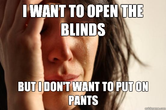 I want to open the blinds But I don't want to put on pants  First World Problems