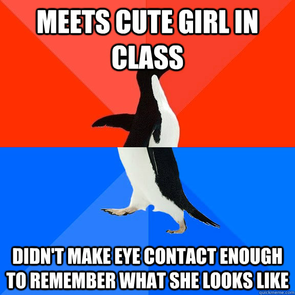 meets cute girl in class didn't make eye contact enough to remember what she looks like  Socially Awesome Awkward Penguin