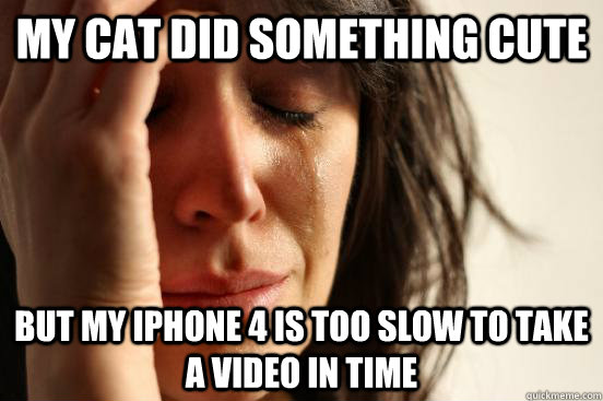 my cat did something cute but my iphone 4 is too slow to take a video in time  First World Problems