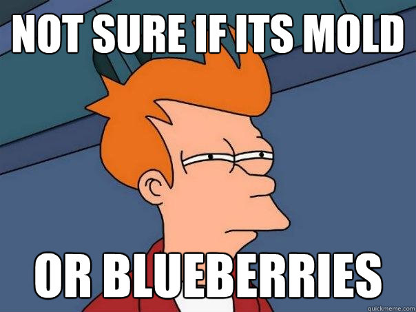 Not sure if its mold Or blueberries  Futurama Fry