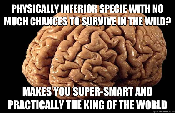 physically inferior specie with no much chances to survive in the wild? makes you super-smart and practically the king of the world - physically inferior specie with no much chances to survive in the wild? makes you super-smart and practically the king of the world  Awesome Brain