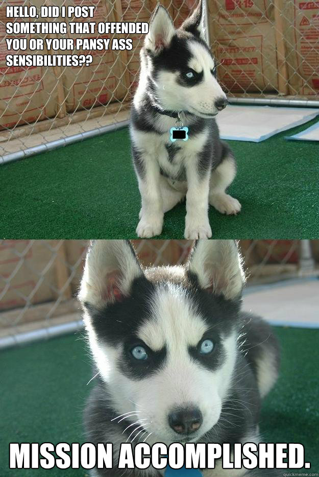 Hello, did I post
something that offended
you or your pansy ass
sensibilities?? Mission Accomplished.   Insanity puppy