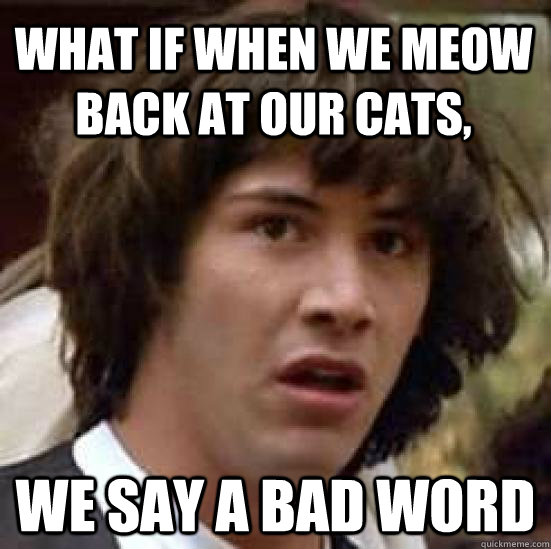 what if when we meow back at our cats, we say a bad word  conspiracy keanu
