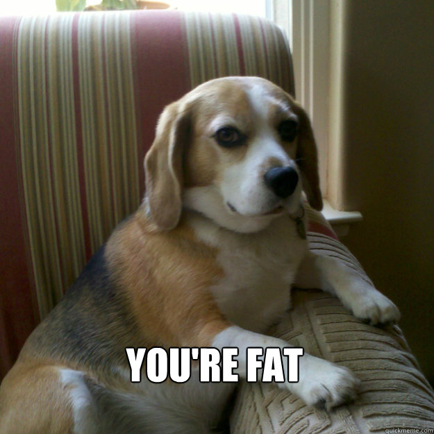  you're fat  judgmental dog