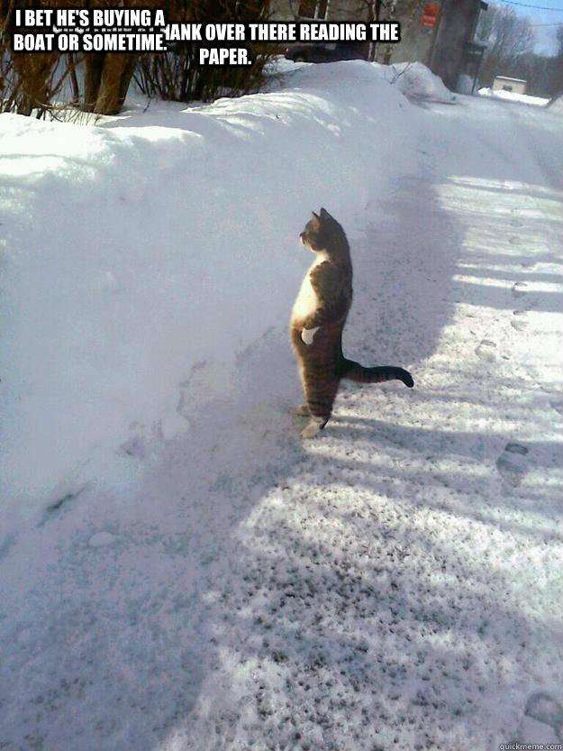 Huh! Look at Hank over there reading the paper. I bet he's buying a boat or sometime.  CatSnowbank