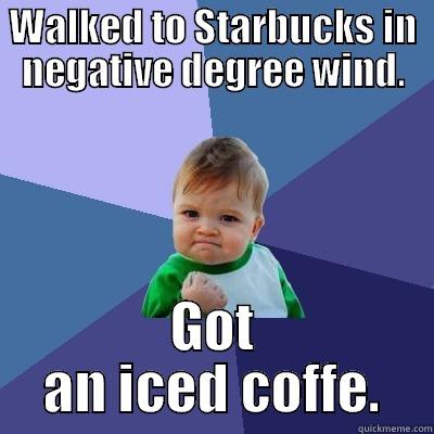 WALKED TO STARBUCKS IN NEGATIVE DEGREE WIND. GOT AN ICED COFFE. Success Kid