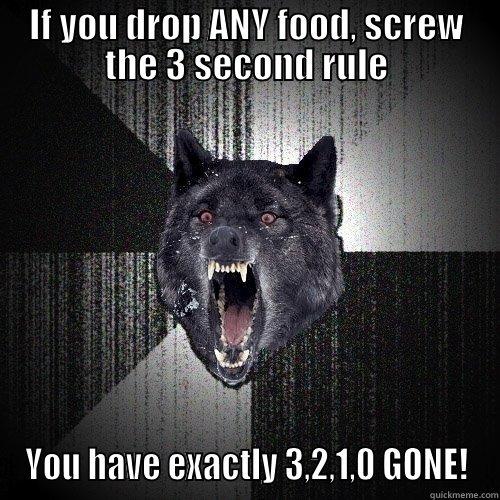 IF YOU DROP ANY FOOD, SCREW THE 3 SECOND RULE YOU HAVE EXACTLY 3,2,1,0 GONE! Insanity Wolf
