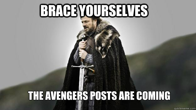 Brace Yourselves The Avengers posts are coming  Ned stark winter is coming
