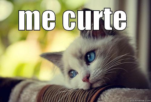 ME CURTE  First World Problems Cat