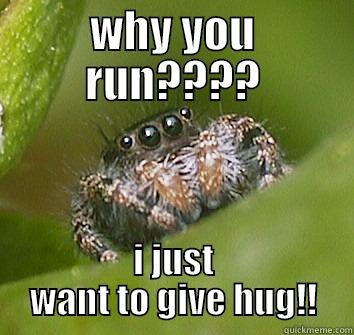WHY YOU RUN???? I JUST WANT TO GIVE HUG!! Misunderstood Spider
