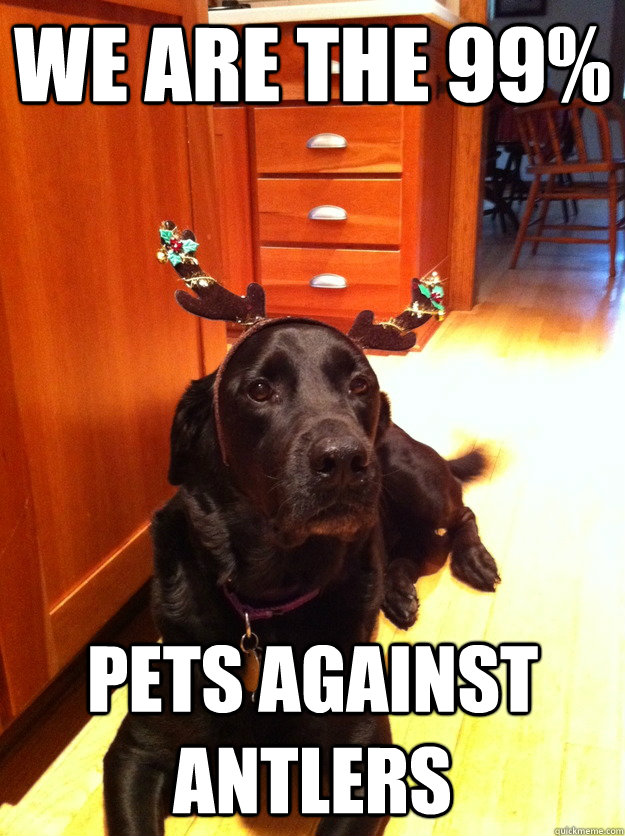 We are the 99% Pets against antlers  Christmas Dog