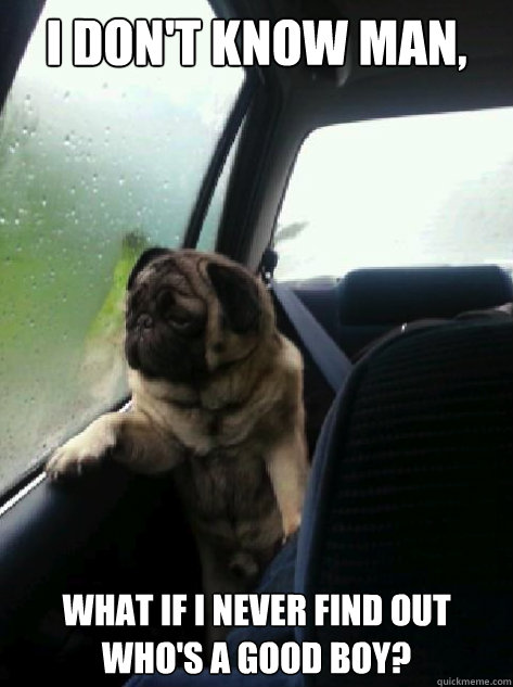 I don't know man, what if i never find out who's a good boy? - I don't know man, what if i never find out who's a good boy?  Introspective Pug