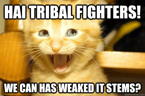 HAI TRIBAL FIGHTERS! We can has weaked it stems?  Awesome Cat