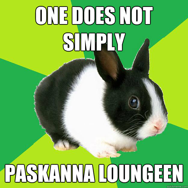 One does not simply PASkanna loungeen  RA Rabbit