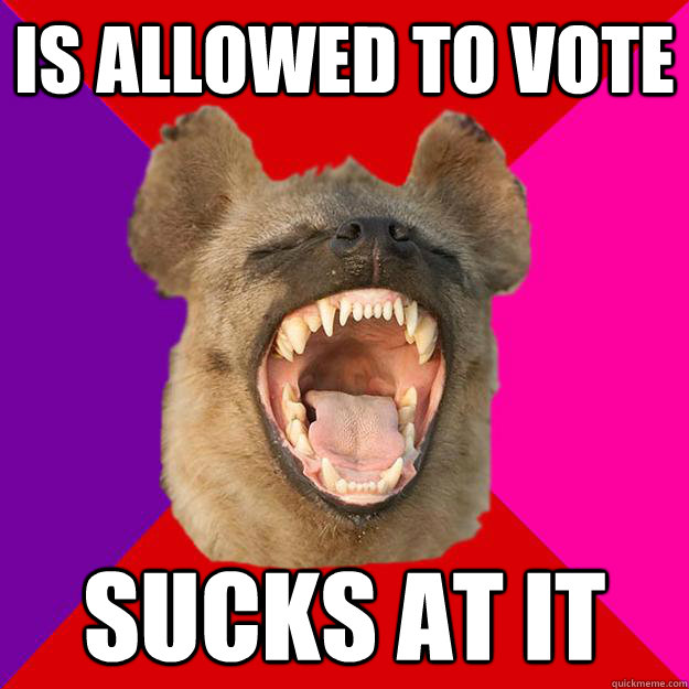 Is allowed to vote Sucks at it  Radical Feminist Hyena