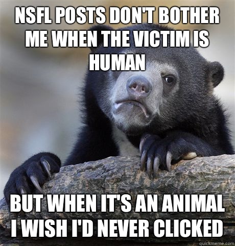 NSFL posts don't bother me when the victim is human But when it's an animal I wish I'd never clicked  Confession Bear