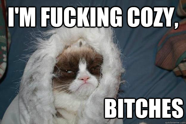 I'm fucking cozy, Bitches - I'm fucking cozy, Bitches  Cold Grumpy Cat