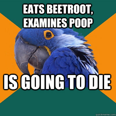 Eats Beetroot, examines poop Is going to die  Paranoid Parrot