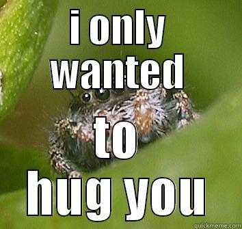 I ONLY WANTED TO HUG YOU Misunderstood Spider