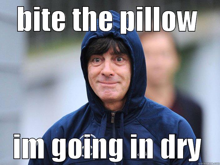 BITE THE PILLOW IM GOING IN DRY Misc