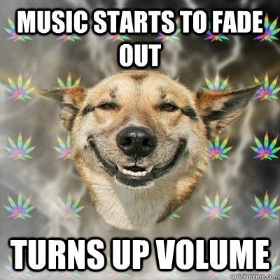 music starts to fade out turns up volume - music starts to fade out turns up volume  Stoner Dog