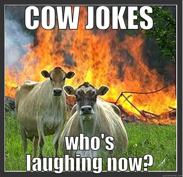 COW JOKES WHO'S LAUGHING NOW? Evil cows